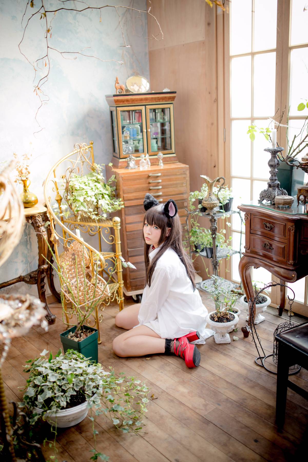 [Paw Pad Ayato, Nagisa MK-2, Usagi, Senji] Klartheit (khác nhau)