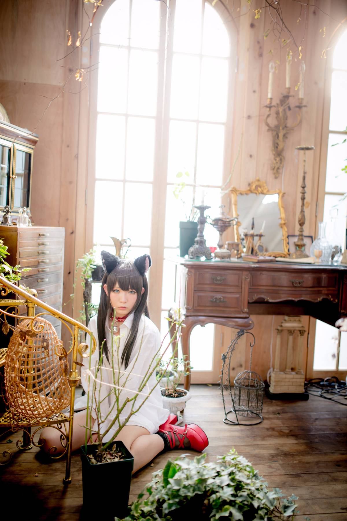 [Paw Pad Ayato, Nagisa MK-2, Usagi, Senji] Klartheit (khác nhau)