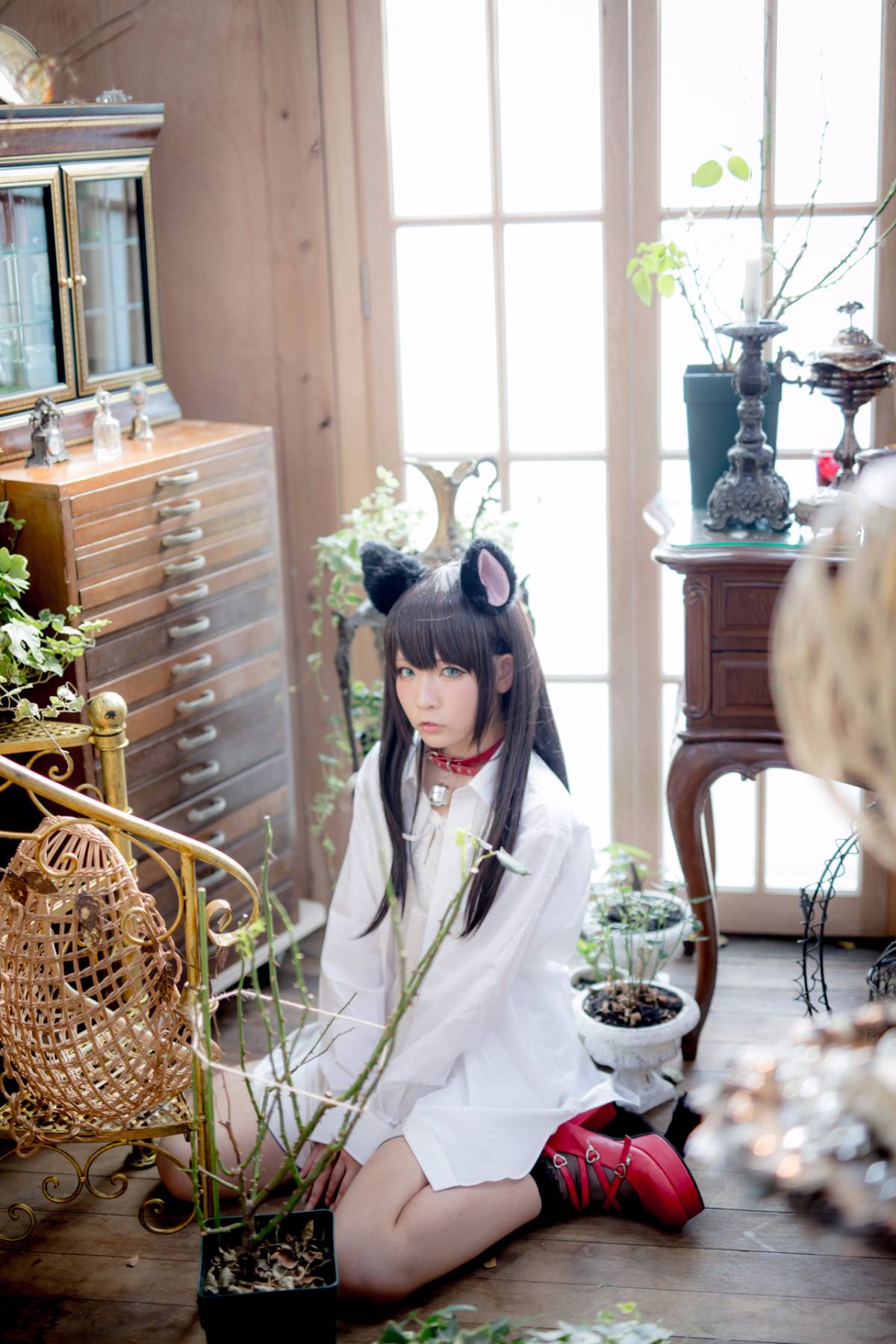 [Paw Pad Ayato, Nagisa MK-2, Usagi, Senji] Klartheit (khác nhau)