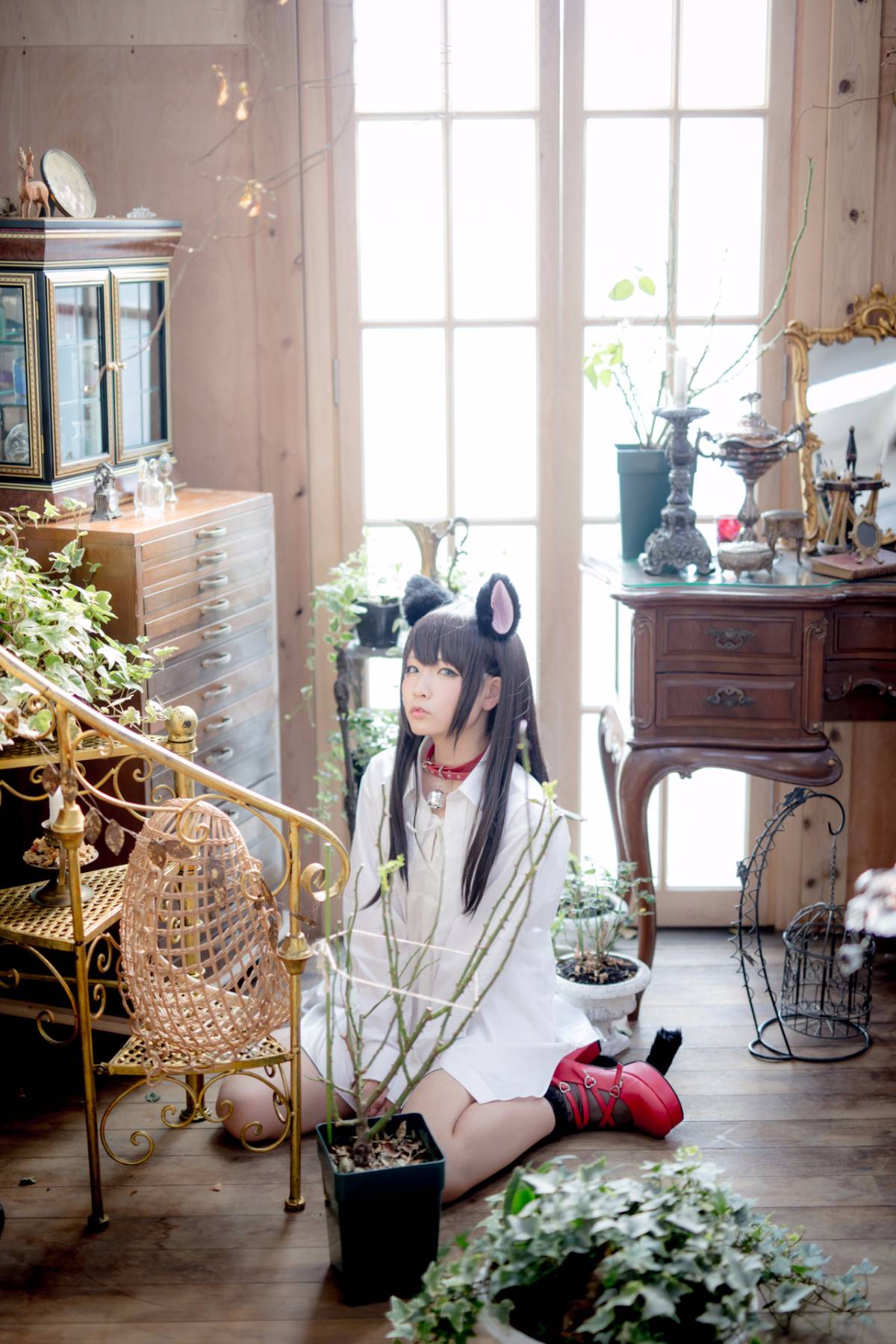 [Paw Pad Ayato, Nagisa MK-2, Usagi, Senji] Klartheit (khác nhau)