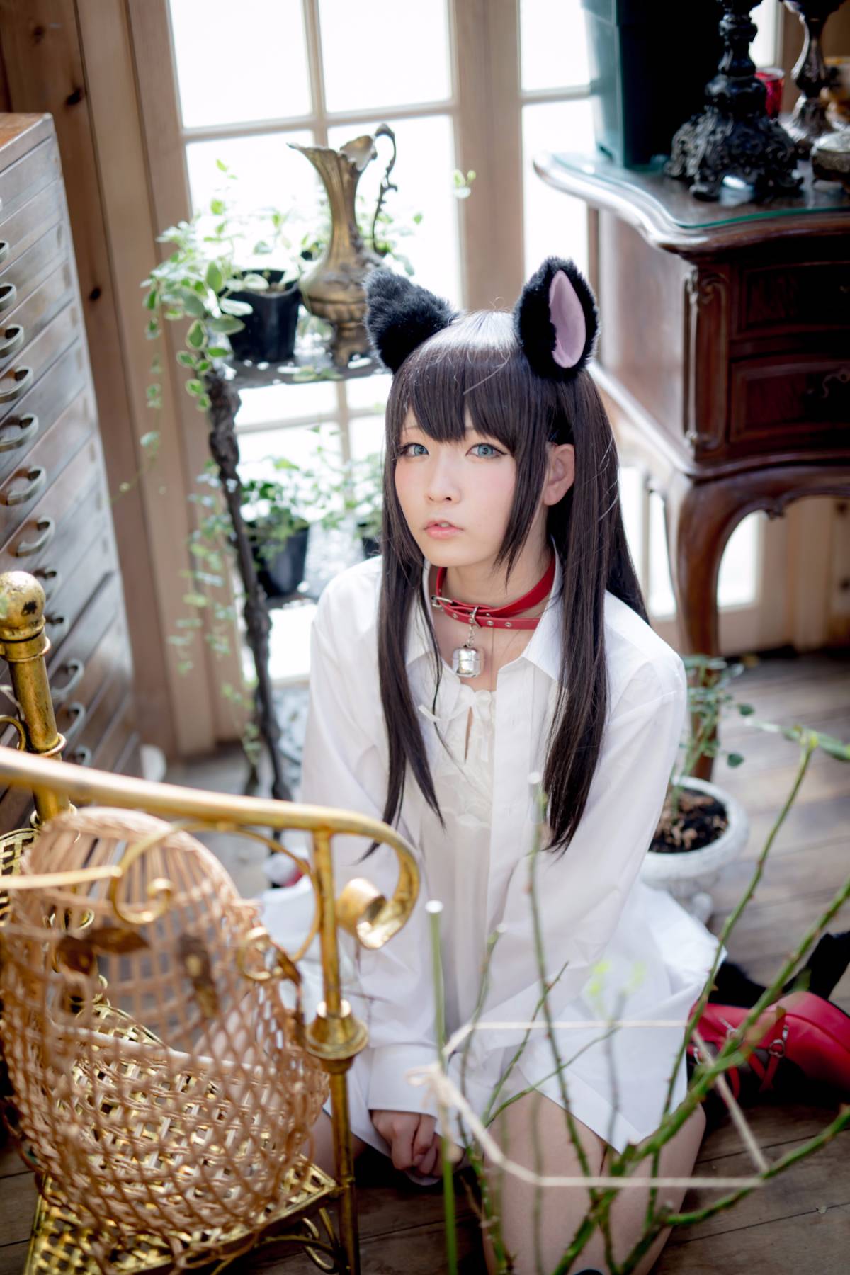 [Paw Pad Ayato, Nagisa MK-2, Usagi, Senji] Klartheit (khác nhau)