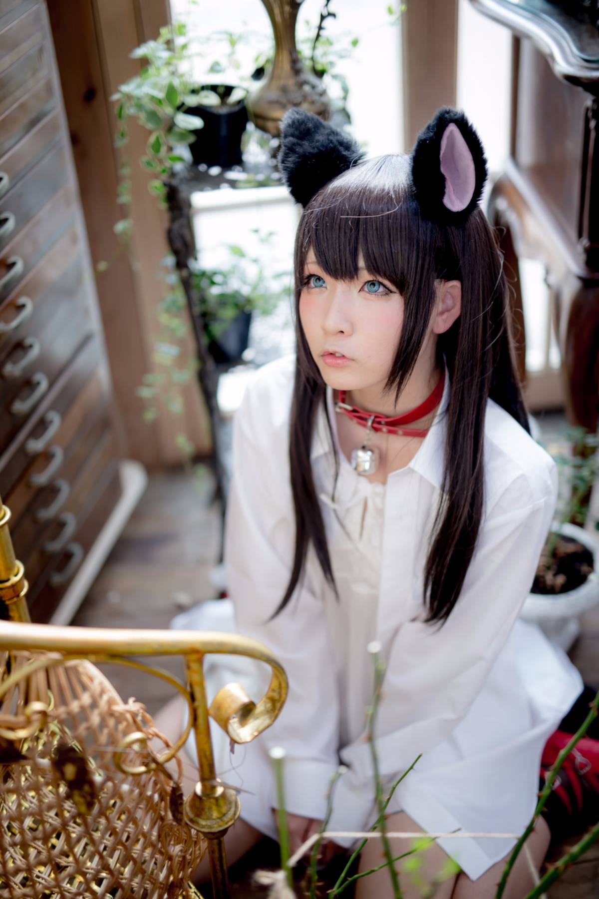 [Paw Pad Ayato, Nagisa MK-2, Usagi, Senji] Klartheit (khác nhau)