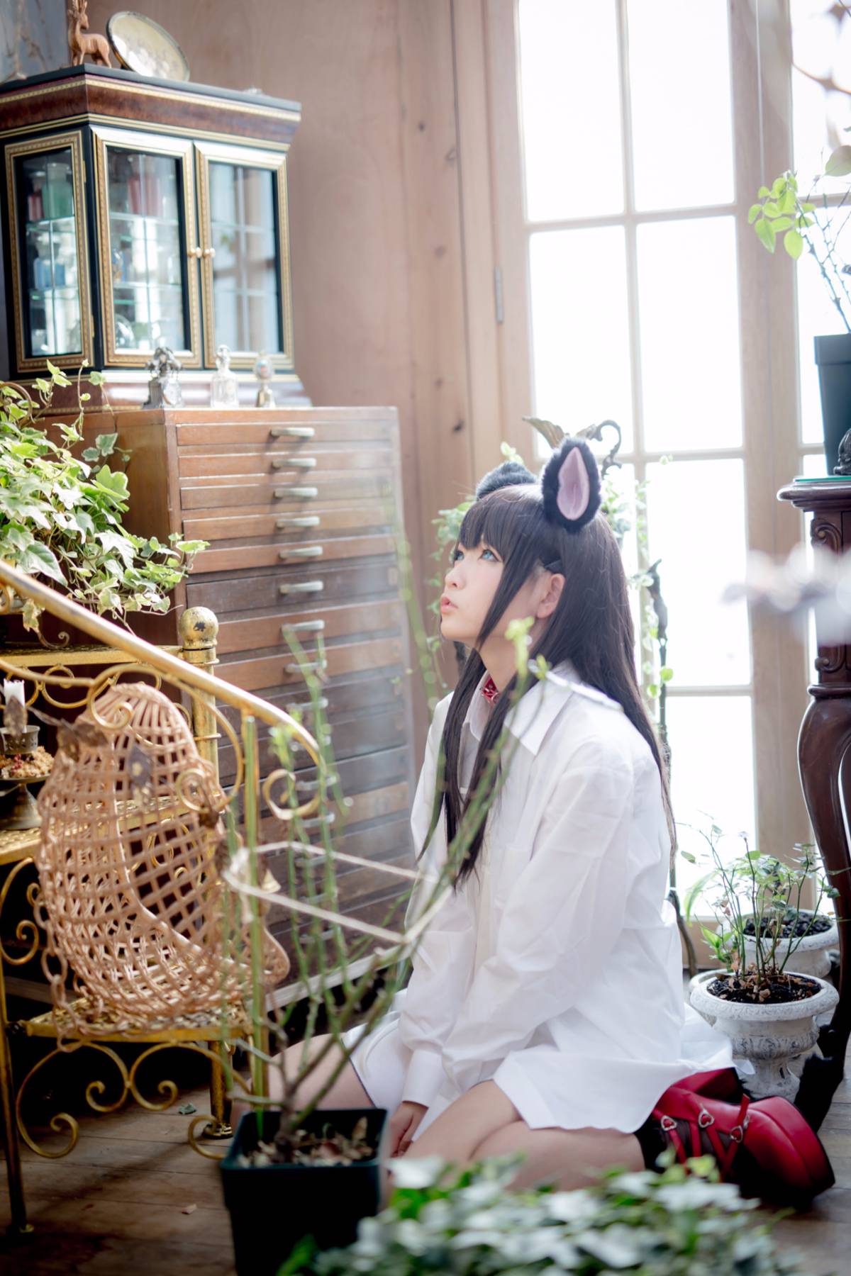 [Paw Pad Ayato, Nagisa MK-2, Usagi, Senji] Klartheit (khác nhau)