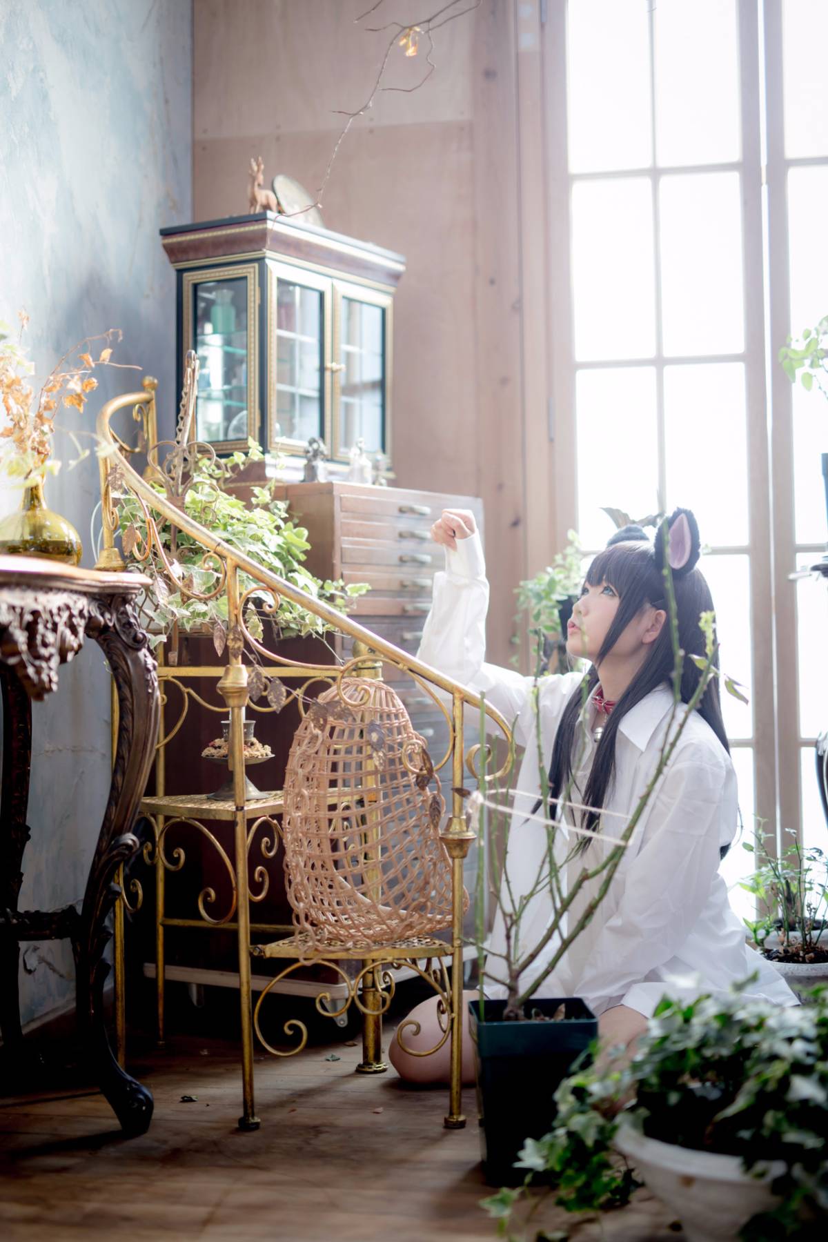 [Paw Pad Ayato, Nagisa MK-2, Usagi, Senji] Klartheit (khác nhau)