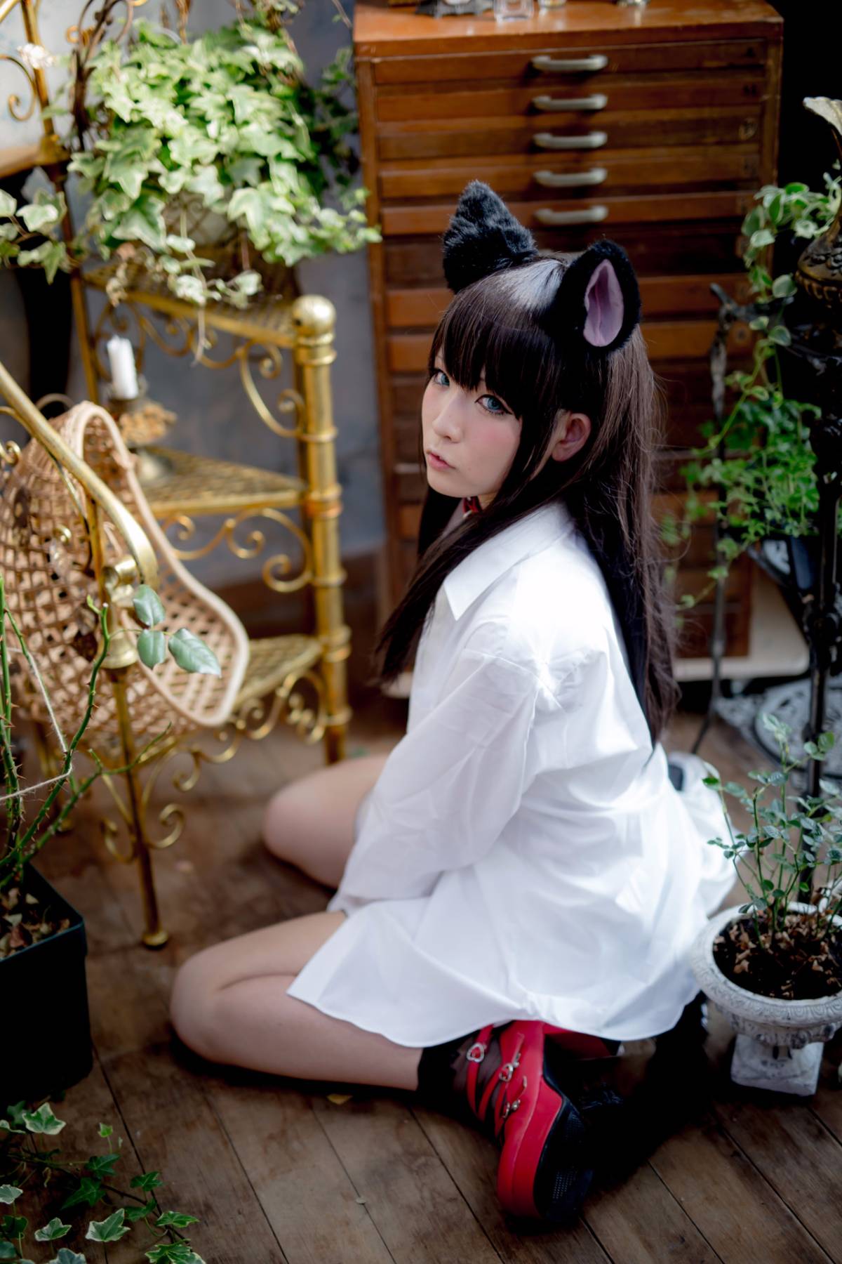 [Paw Pad Ayato, Nagisa MK-2, Usagi, Senji] Klartheit (khác nhau)