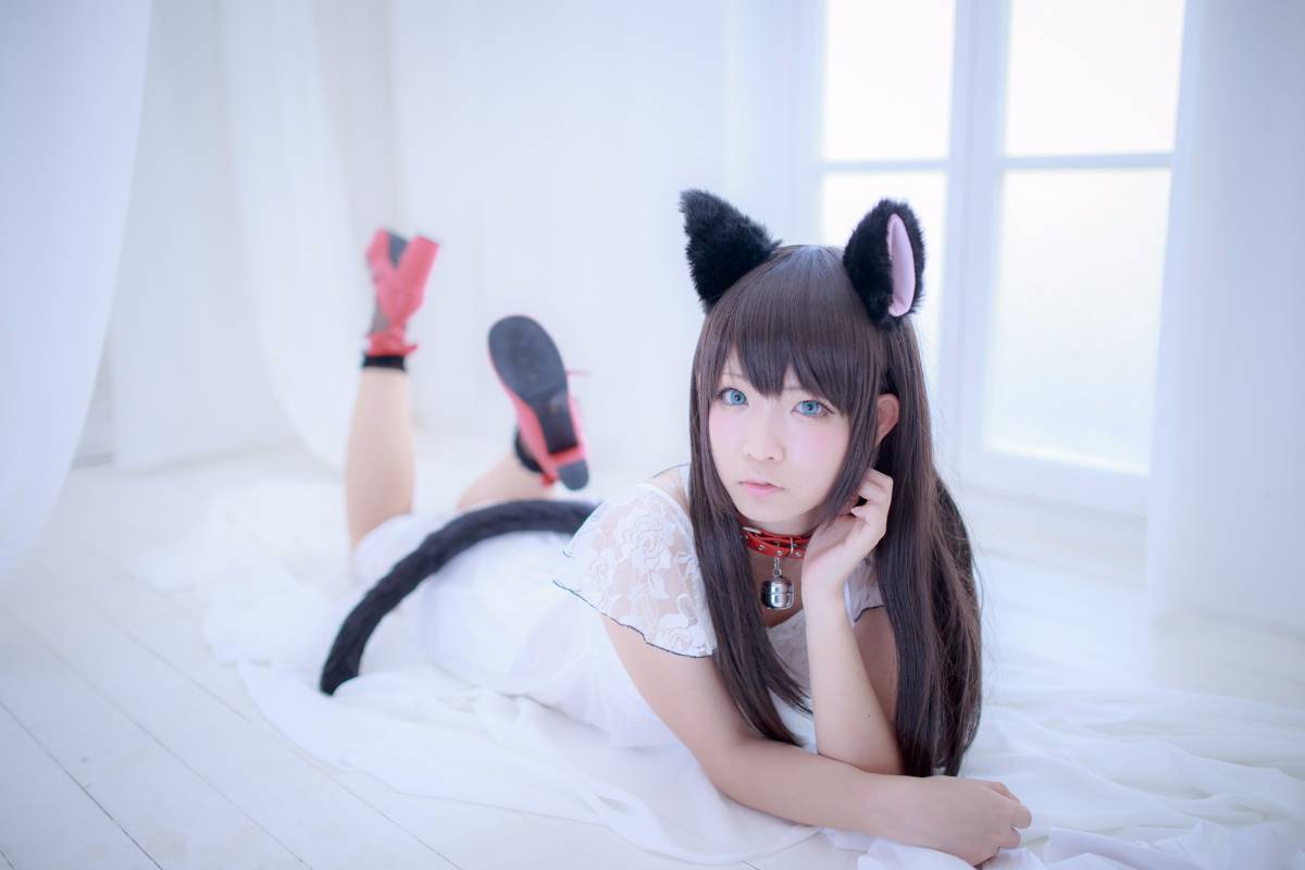 [Paw Pad Ayato, Nagisa MK-2, Usagi, Senji] Klartheit (khác nhau)