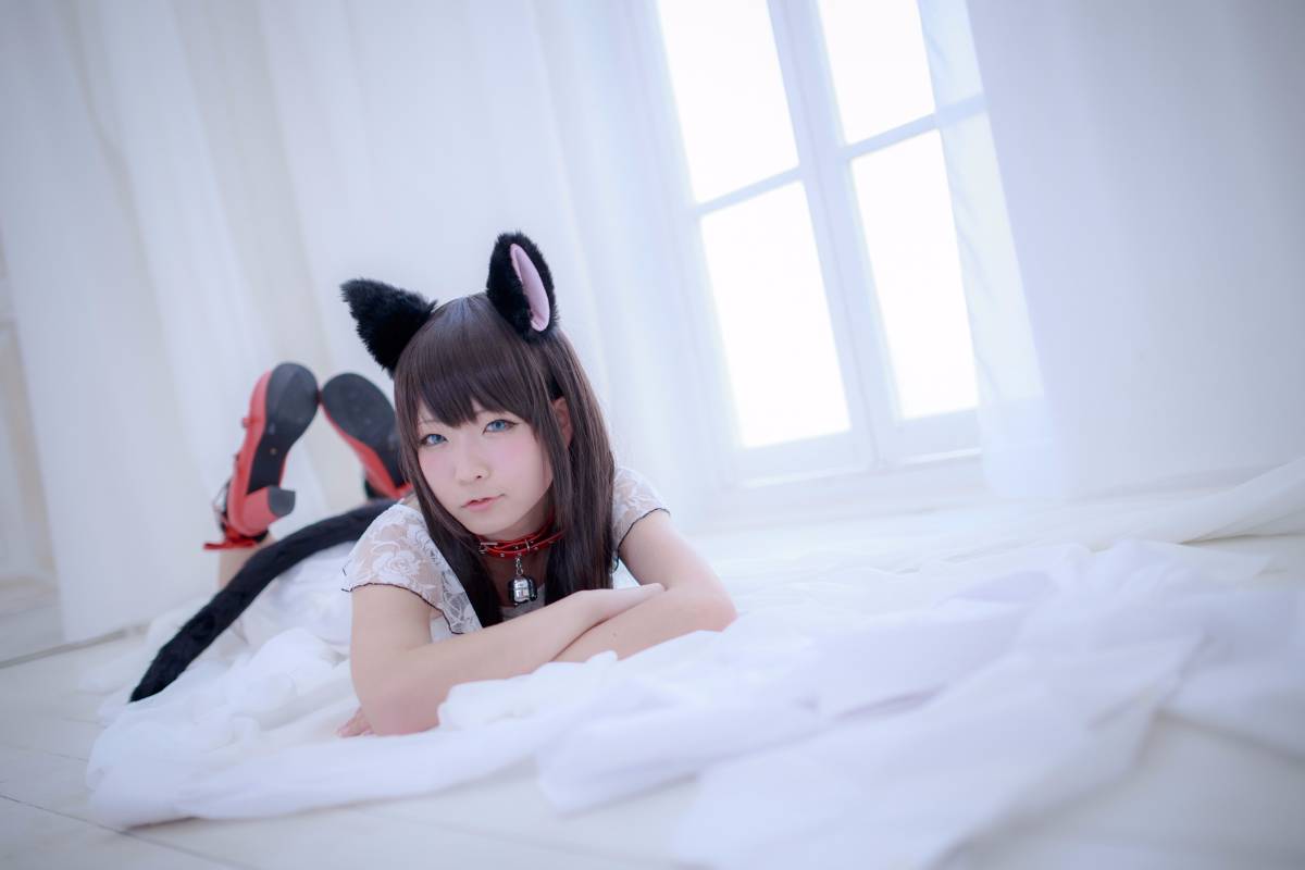 [Paw Pad Ayato, Nagisa MK-2, Usagi, Senji] Klartheit (khác nhau)