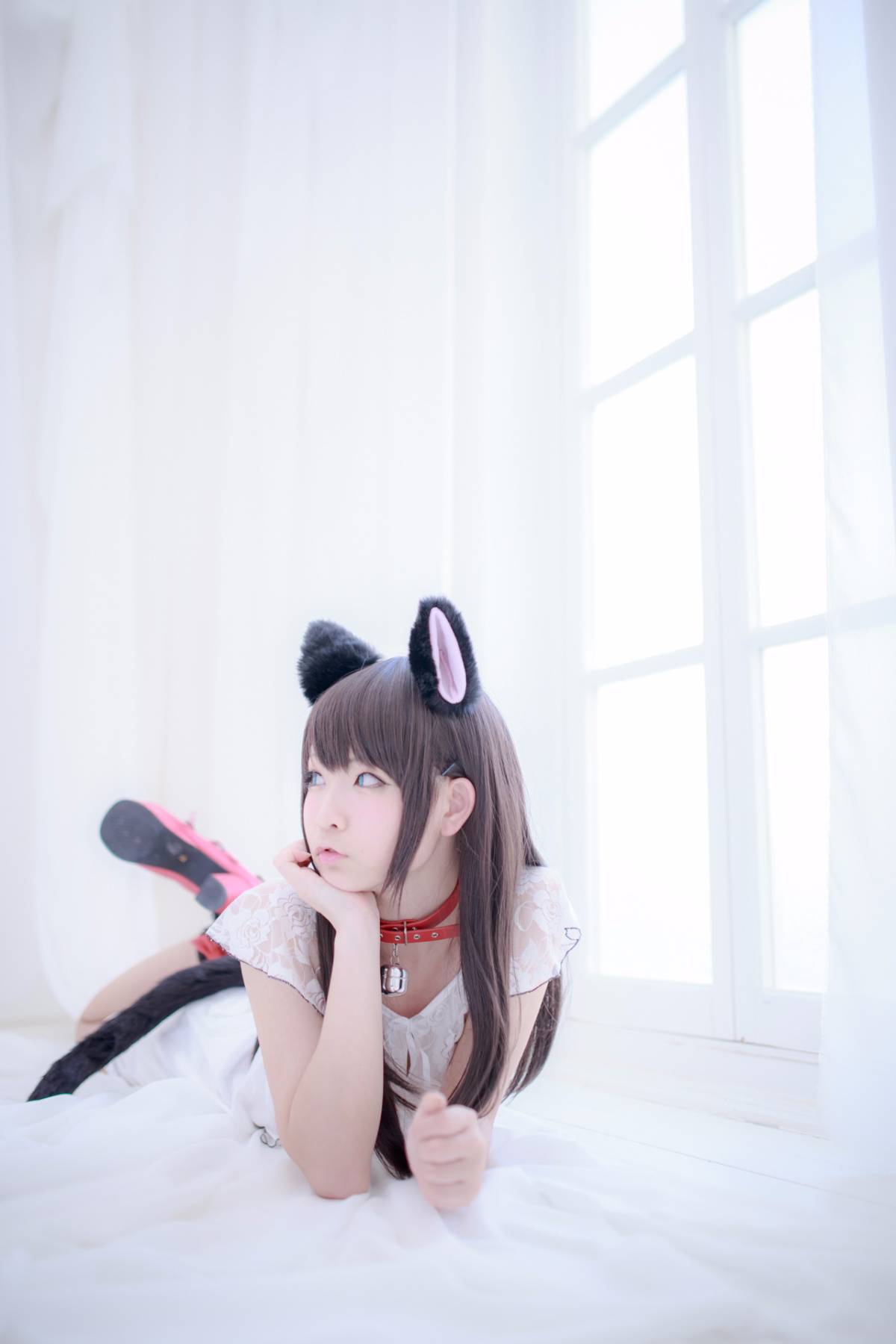 [Paw Pad Ayato, Nagisa MK-2, Usagi, Senji] Klartheit (khác nhau)