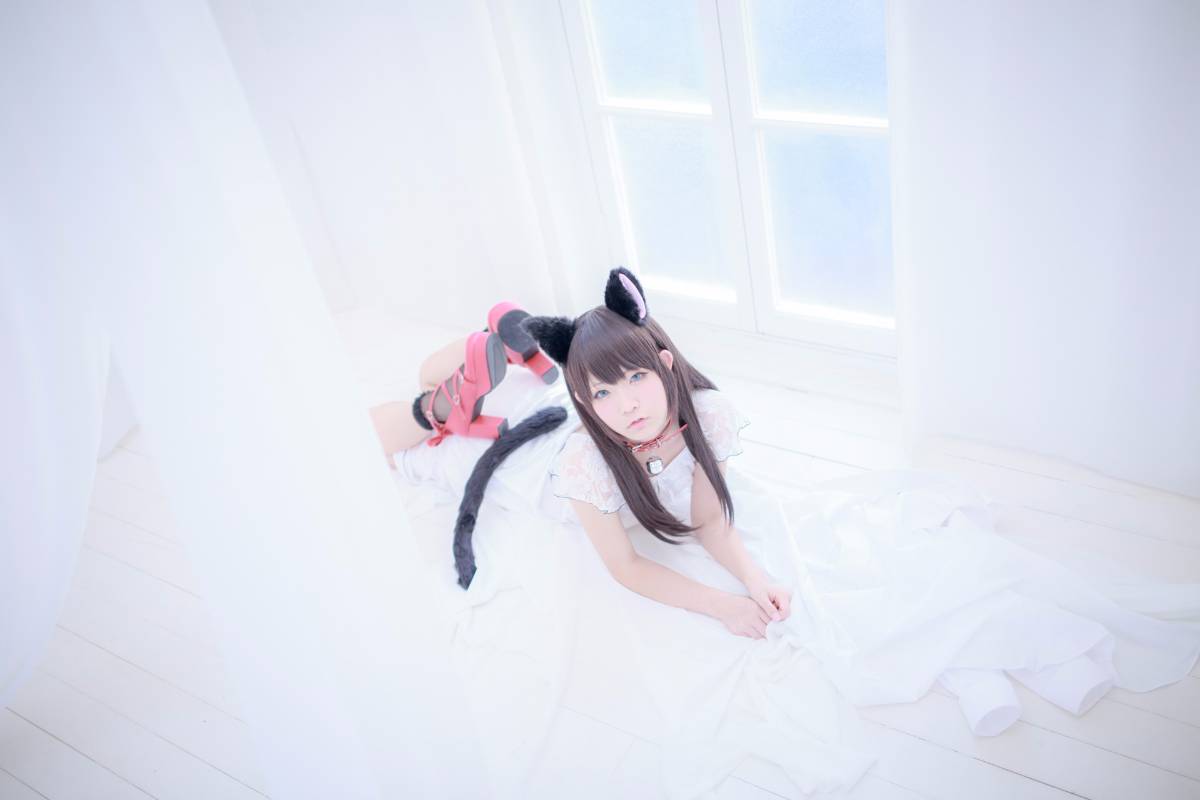 [Paw Pad Ayato, Nagisa MK-2, Usagi, Senji] Klartheit (khác nhau)