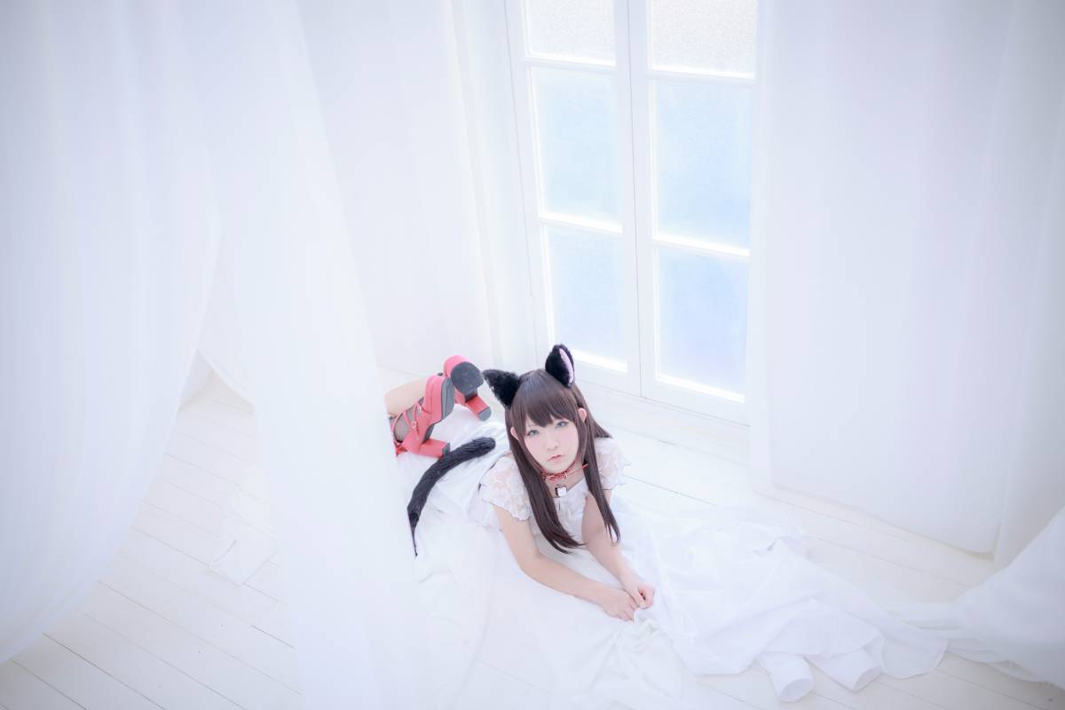 [Paw Pad Ayato, Nagisa MK-2, Usagi, Senji] Klartheit (khác nhau)