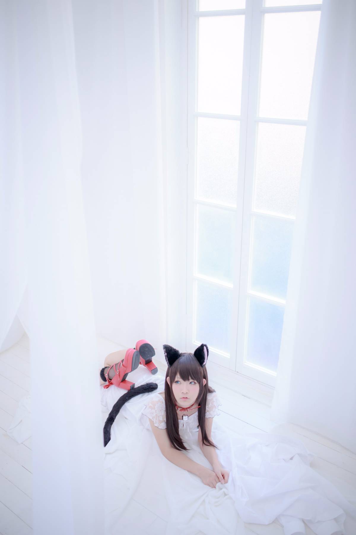 [Paw Pad Ayato, Nagisa MK-2, Usagi, Senji] Klartheit (khác nhau)