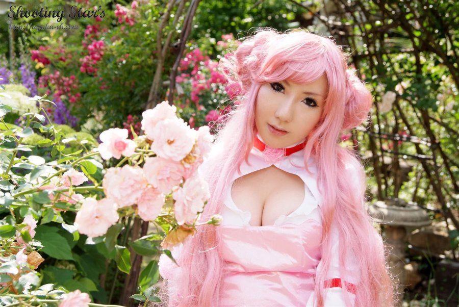 (Code Geass) cosplay bởi Saku