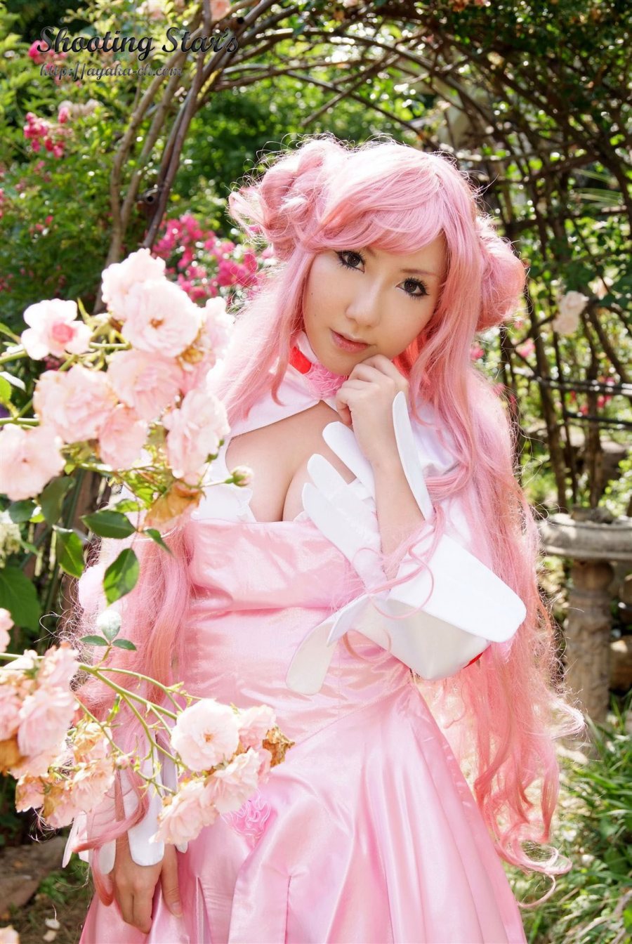 (Code Geass) cosplay bởi Saku