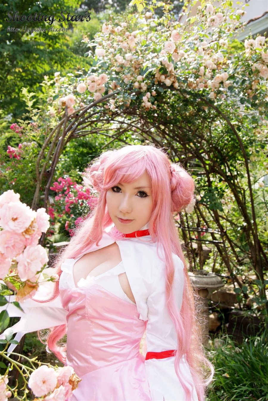 (Code Geass) cosplay bởi Saku