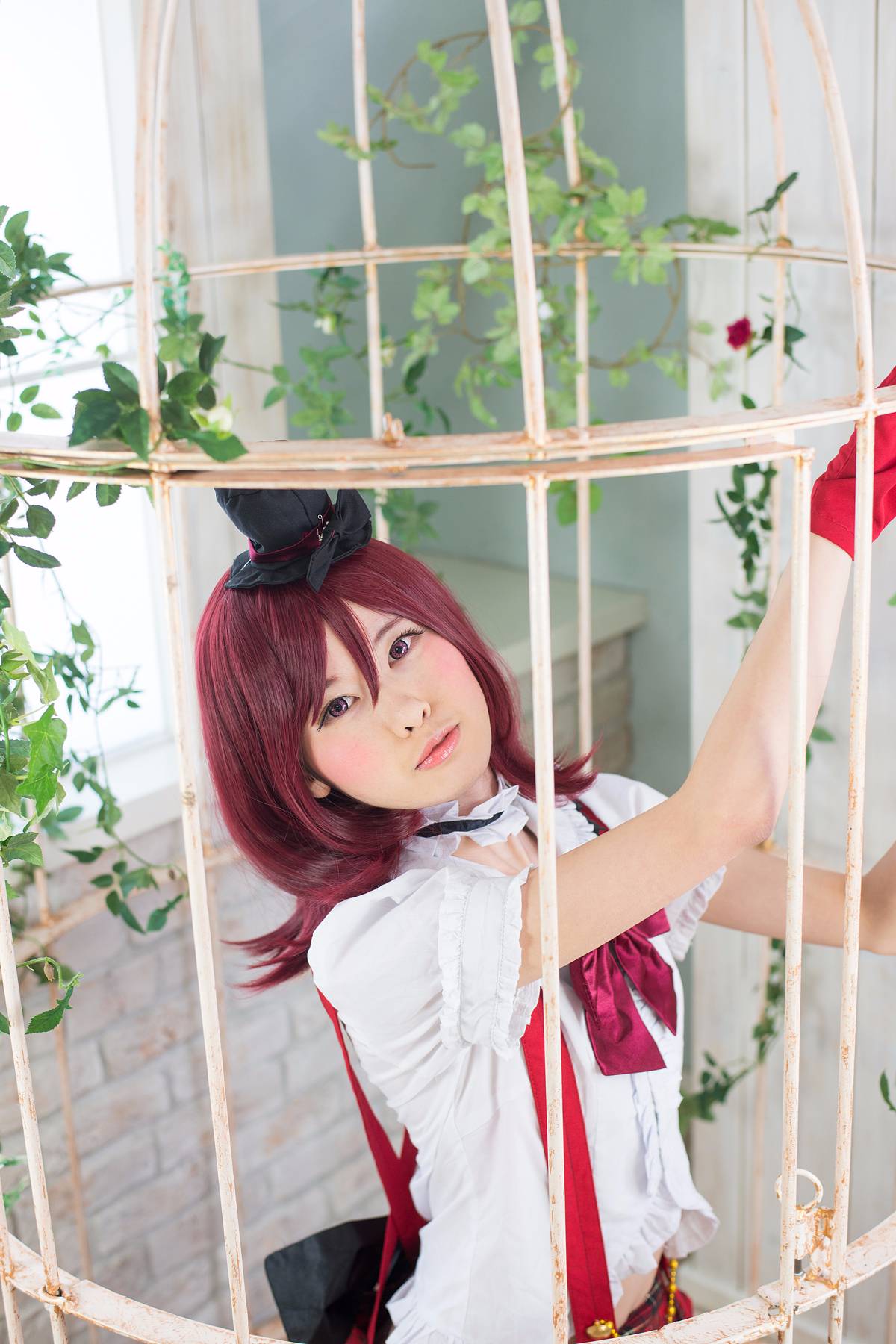 Bình thường - Maki Live!