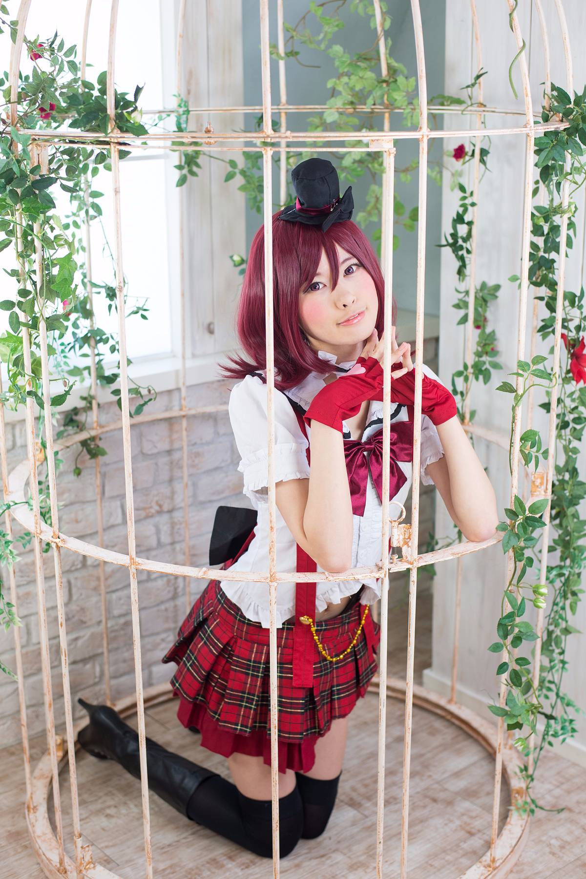 Bình thường - Maki Live!