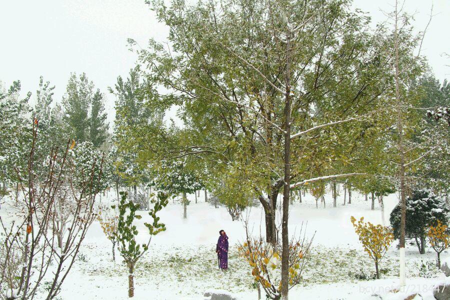 Langke Jianxin】 Kanya Kaoru cos