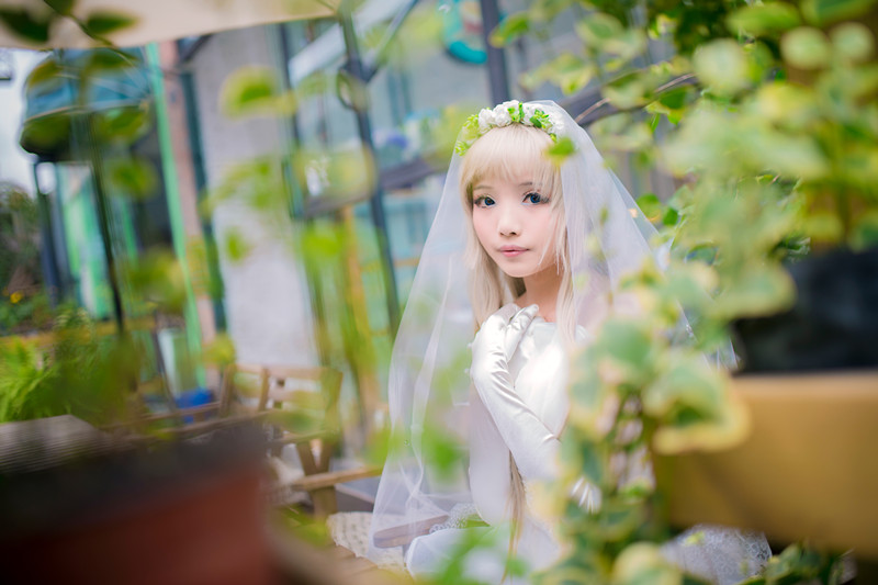"Chúng tôi vẫn không biết tên của bông hoa mà chúng ta thấy ngày hôm đó" mã cô dâu c o s p l a y