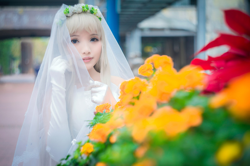 "Chúng tôi vẫn không biết tên của bông hoa mà chúng ta thấy ngày hôm đó" mã cô dâu c o s p l a y