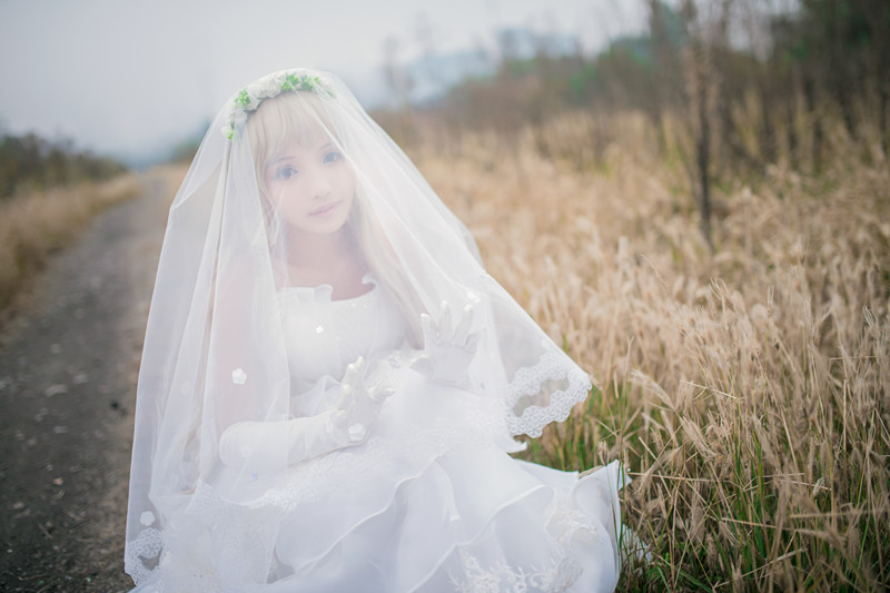 "Chúng tôi vẫn không biết tên của bông hoa mà chúng ta thấy ngày hôm đó" mã cô dâu c o s p l a y