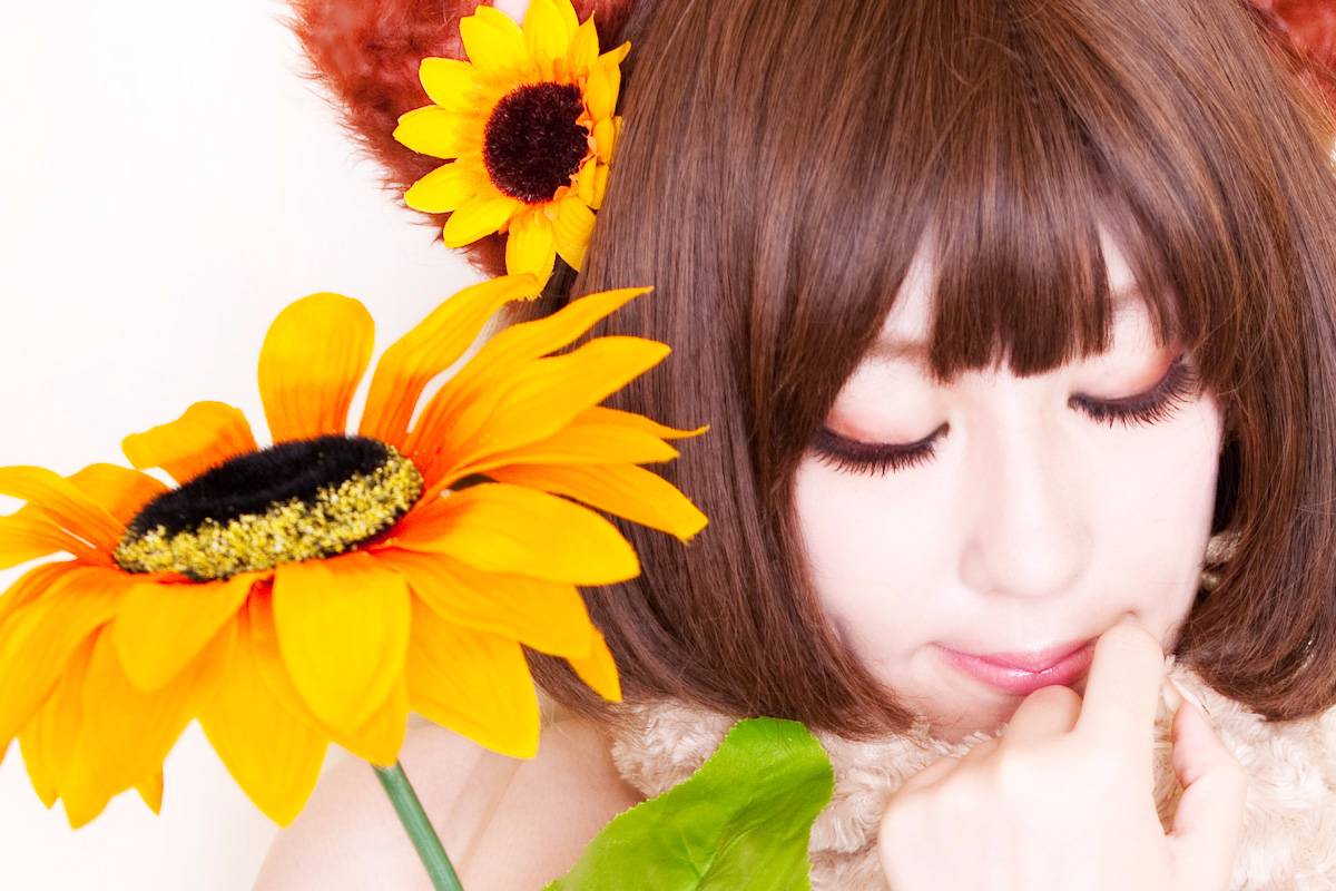 [Dị giáo] Twinkle, Twinkle, Honey Star