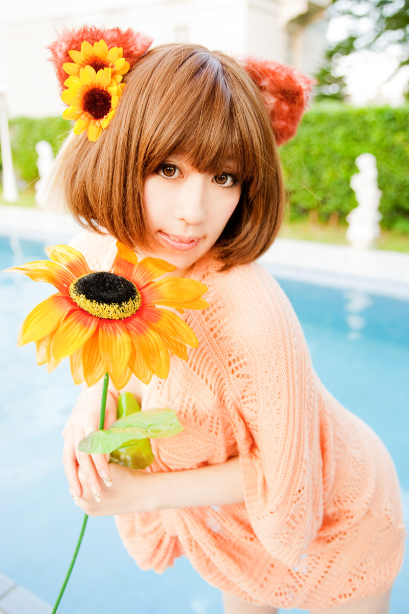 [Dị giáo] Twinkle, Twinkle, Honey Star