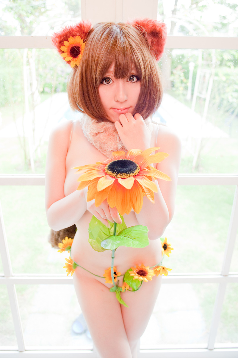 [Dị giáo] Twinkle, Twinkle, Honey Star