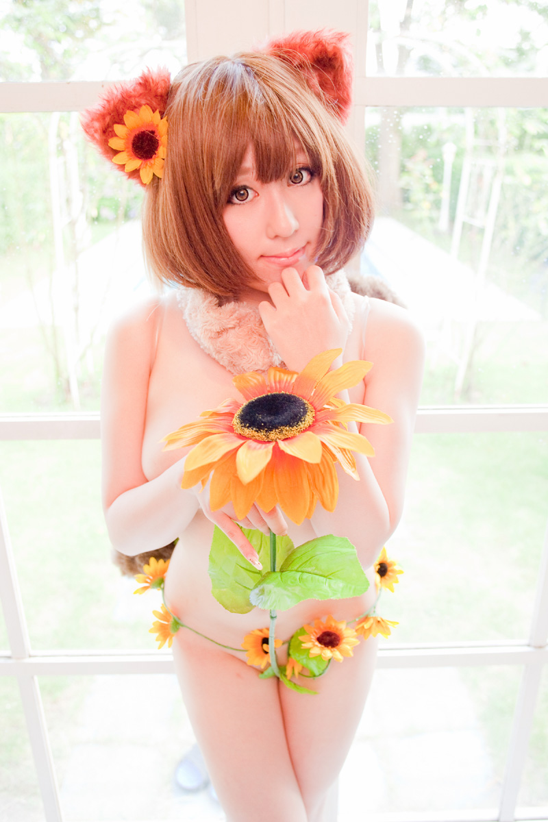 [Dị giáo] Twinkle, Twinkle, Honey Star