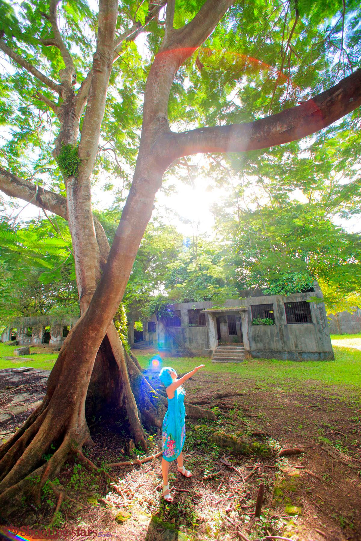 [SHOET STAR's] Cảnh Ever2