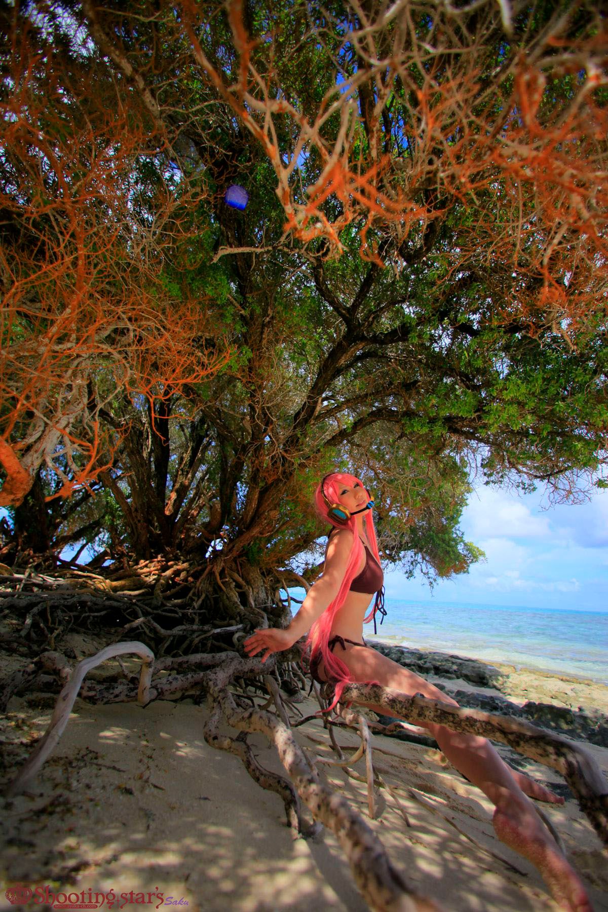 [SHOET STAR's] Cảnh Ever2