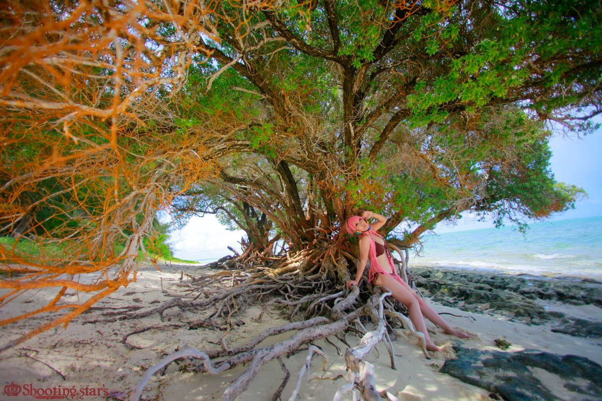 [SHOET STAR's] Cảnh Ever2