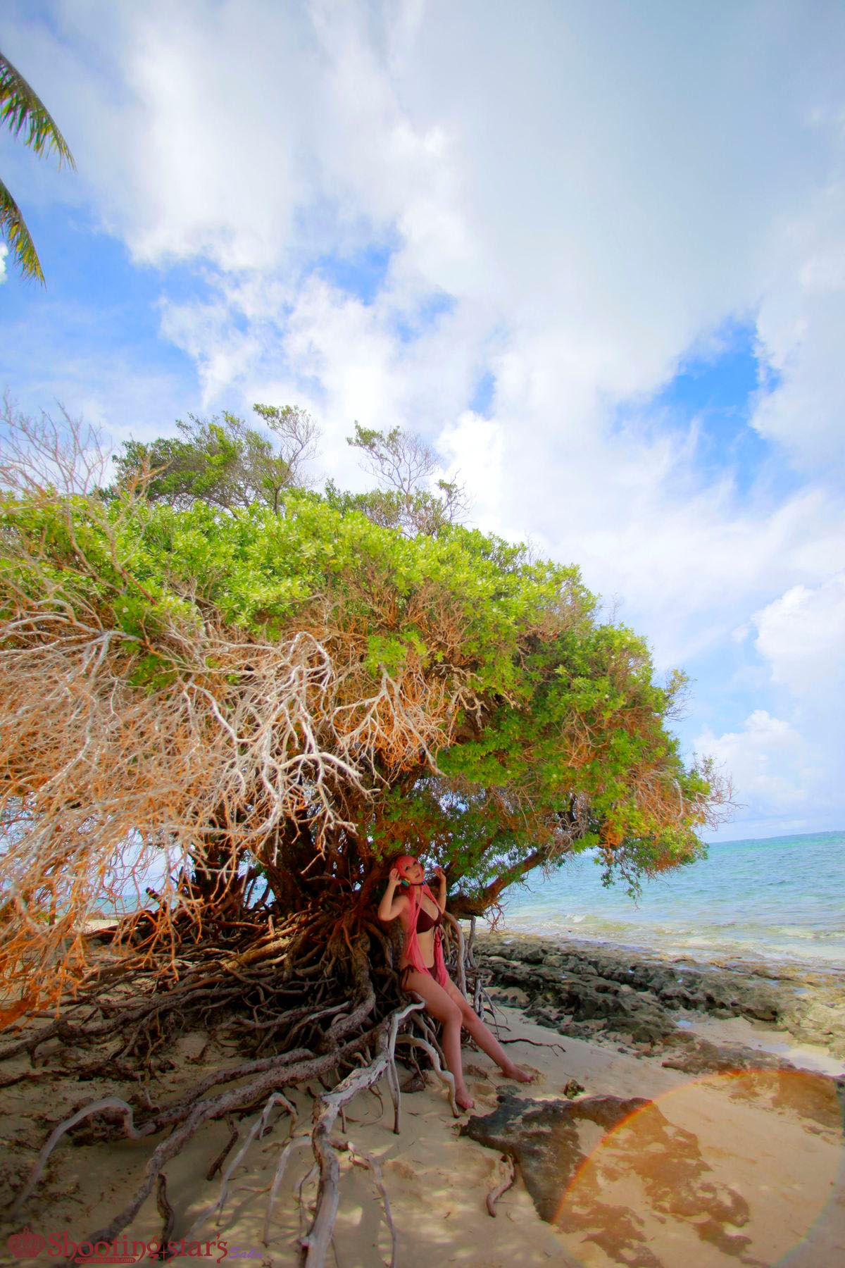 [SHOET STAR's] Cảnh Ever2