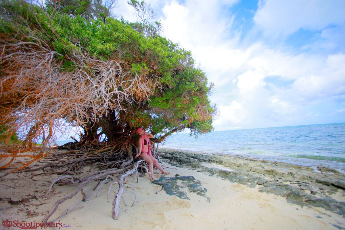 [SHOET STAR's] Cảnh Ever2