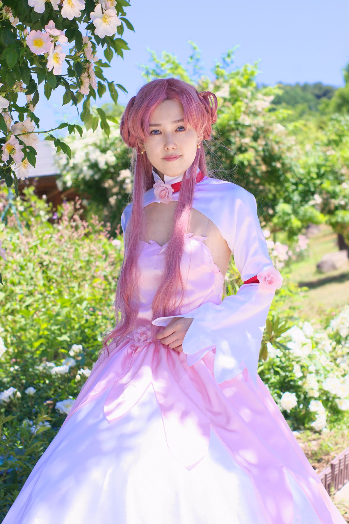 [AUUUU] GASS cốt lõi