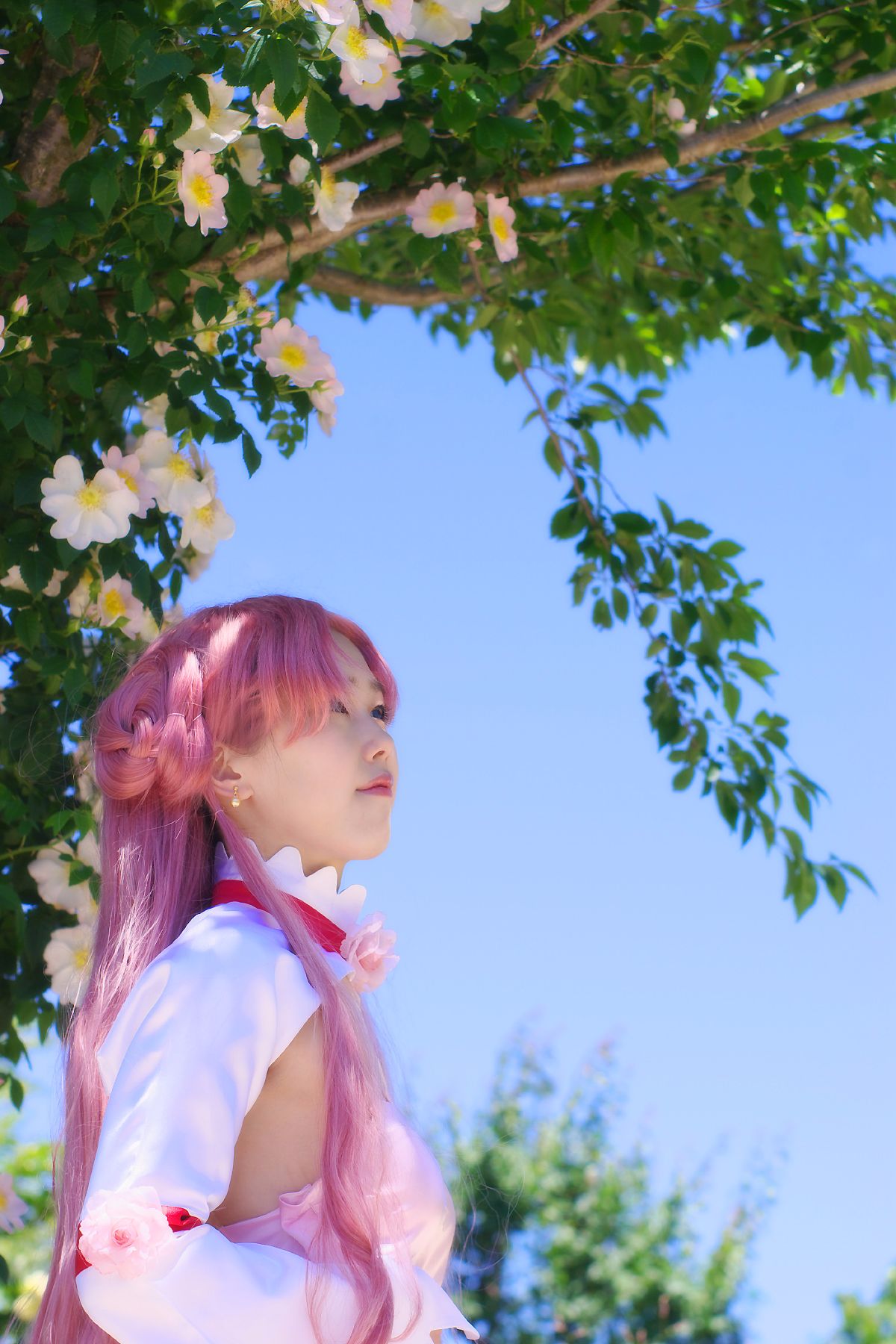 [AUUUU] GASS cốt lõi