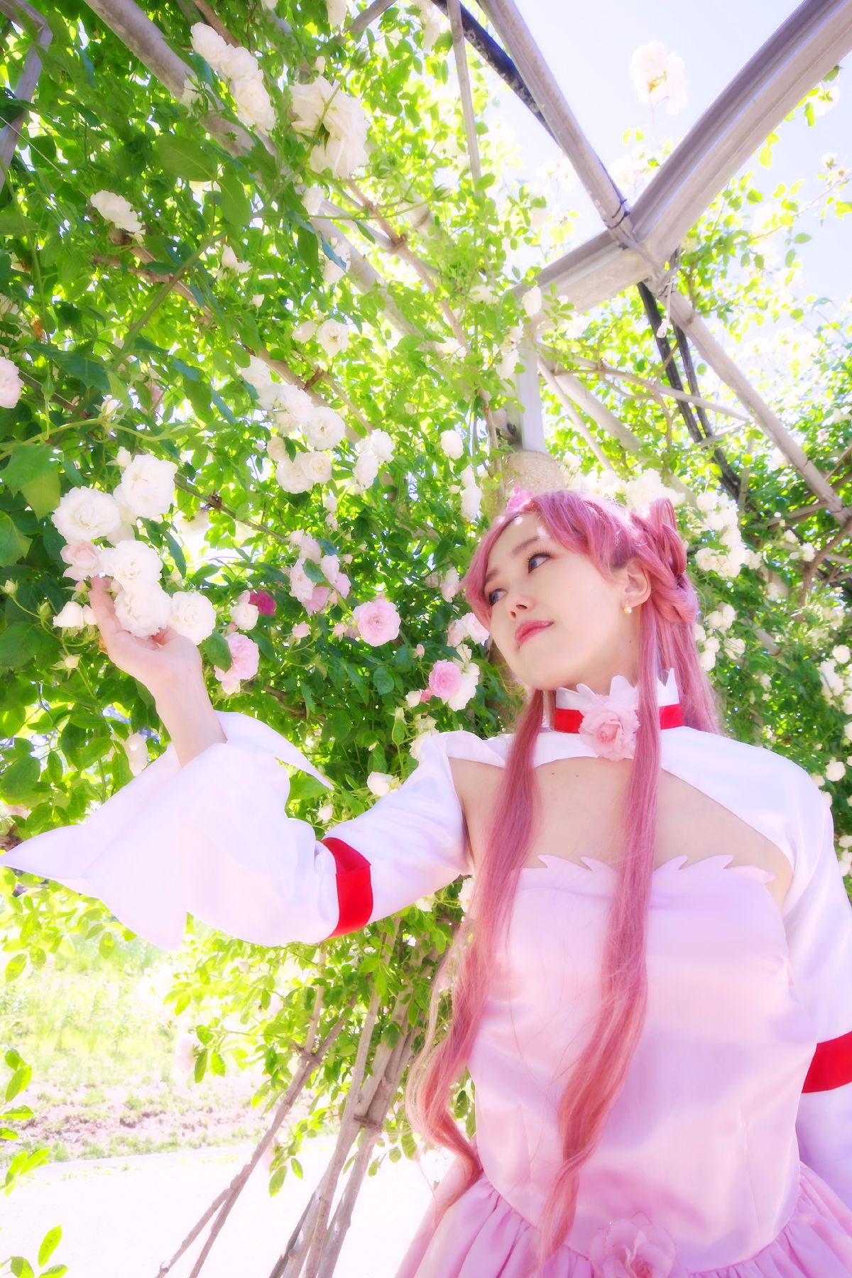 [AUUUU] GASS cốt lõi