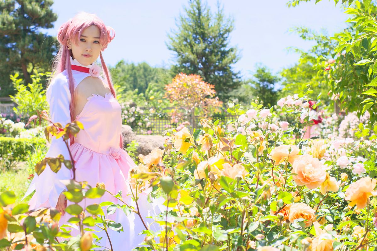 [AUUUU] GASS cốt lõi