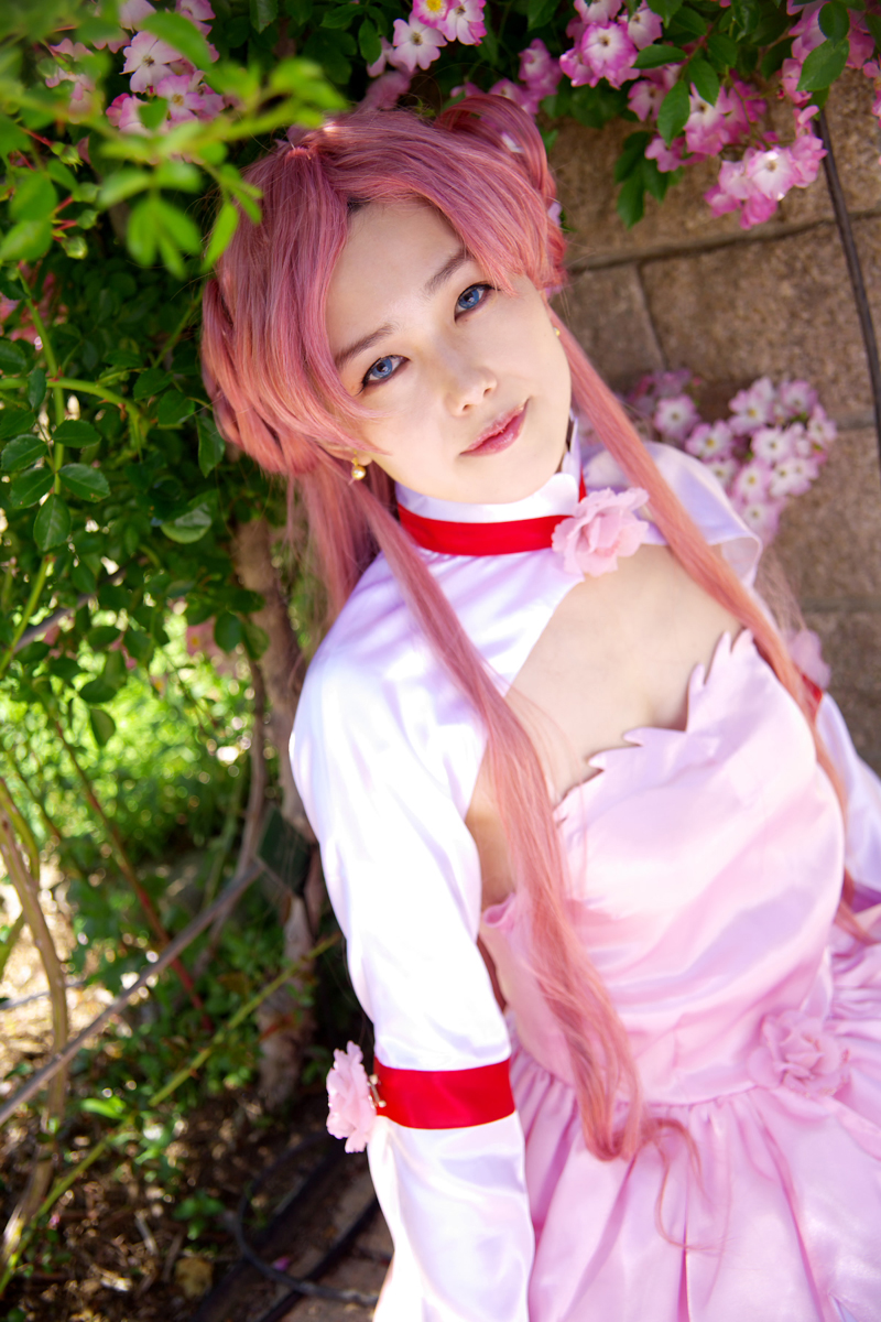 [AUUUU] GASS cốt lõi