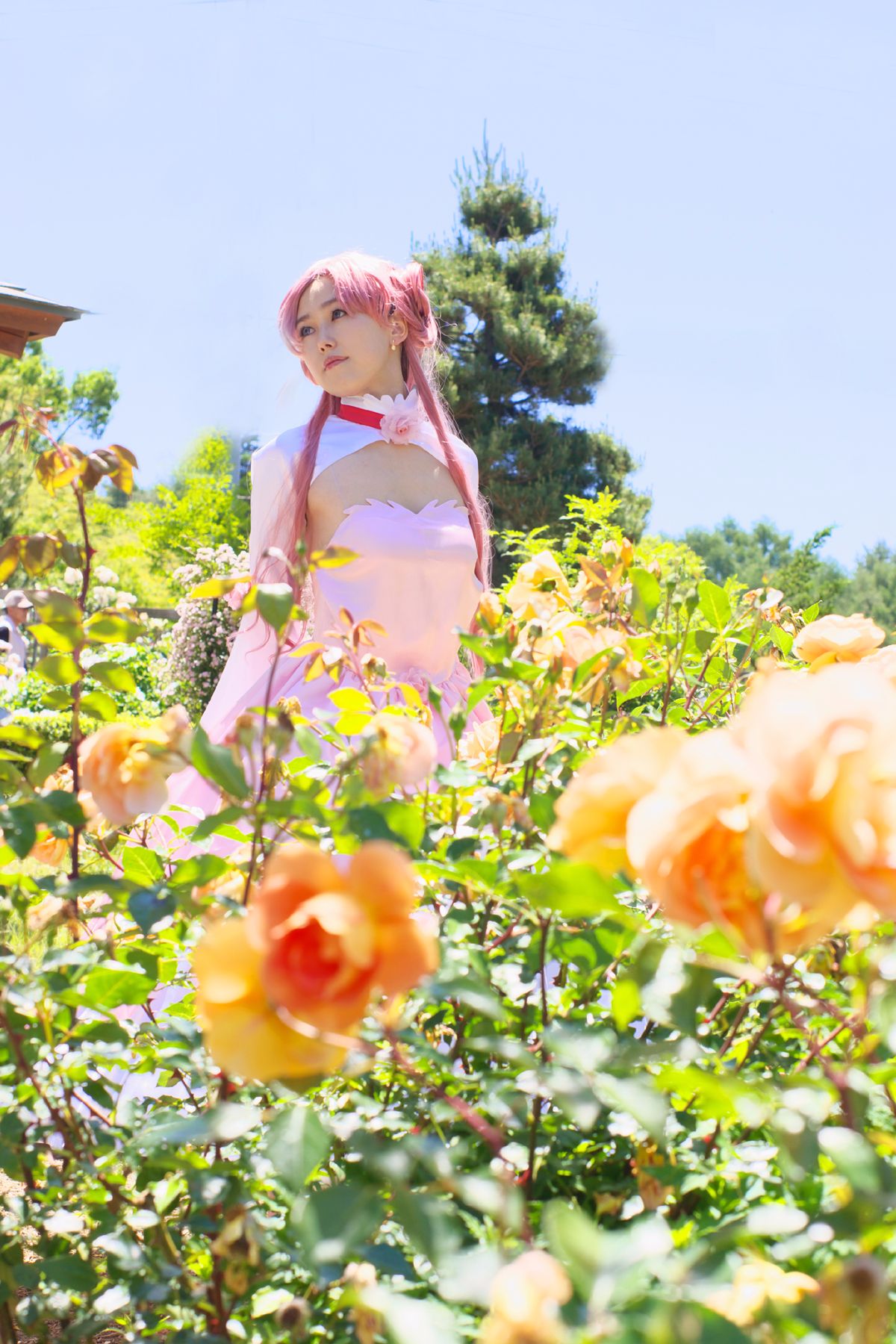 [AUUUU] GASS cốt lõi