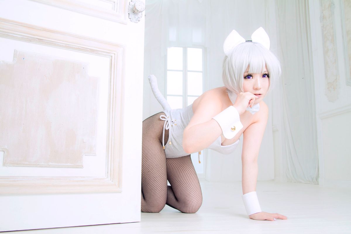 (C89) [Chợ Tsukiji (Uotani Gupiko)] Neco & Bunny