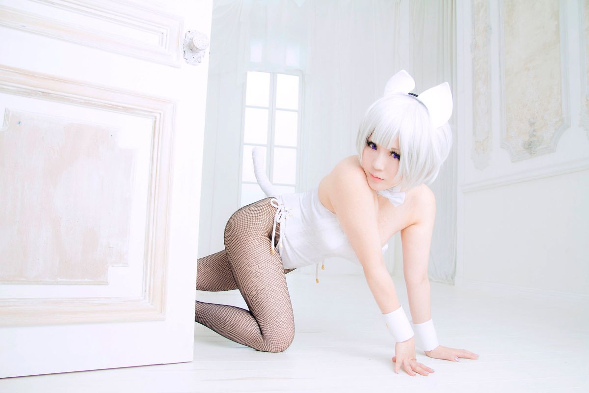 (C89) [Chợ Tsukiji (Uotani Gupiko)] Neco & Bunny