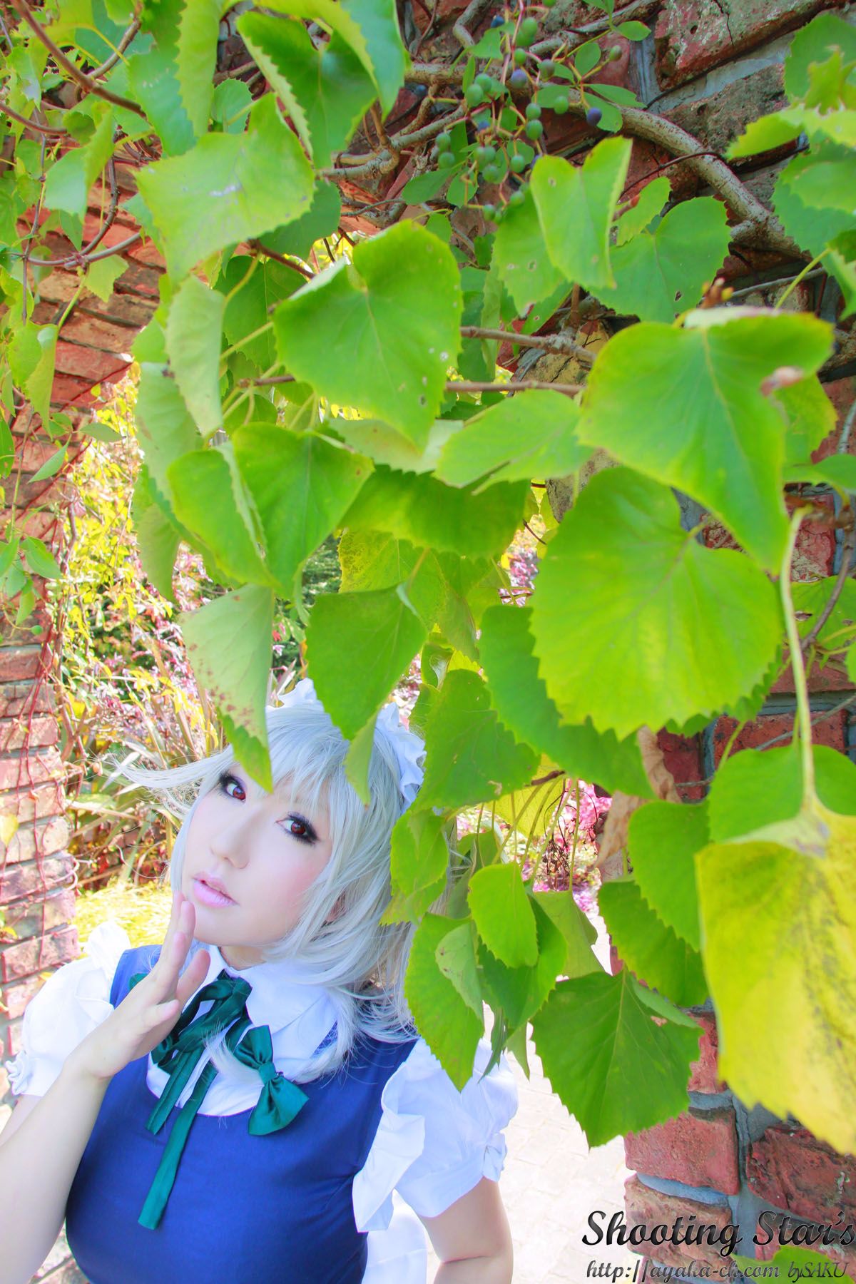 [SHOET STAR'S (SAKU)] Khu vườn ngọt ngào (Dự án Touhou)