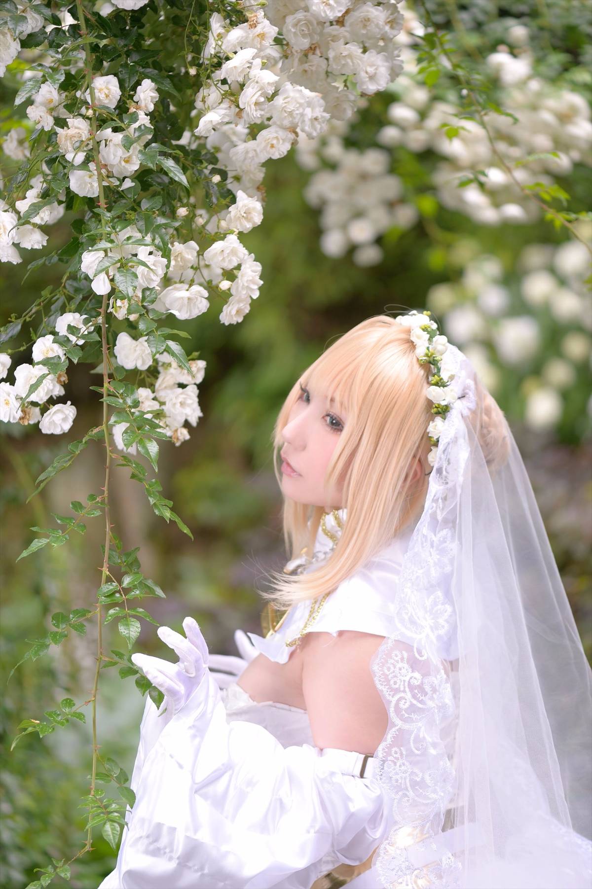 [SHOET STAR'S (SAKU)] Blessings Rose (Fate Grand Order)