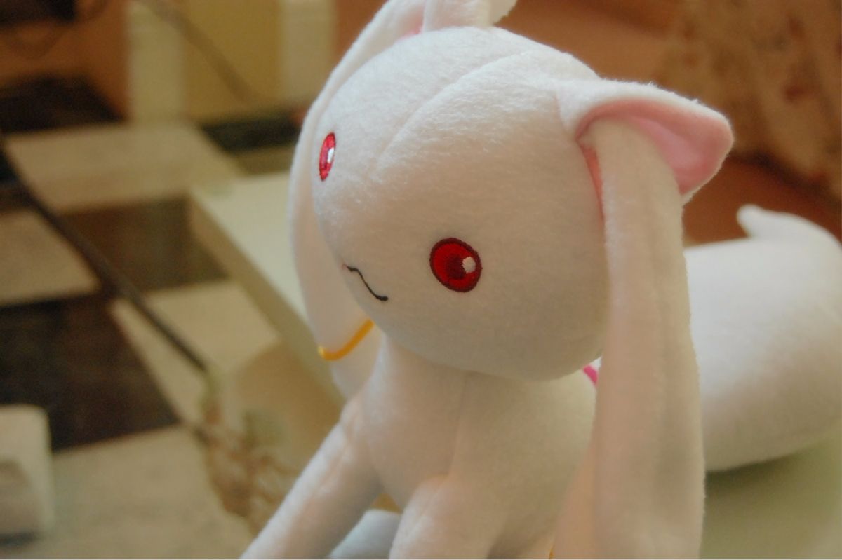 [Bụng con mèo đầy hoa hồng] làm hợp đồng với tôi và trở thành nô lệ thịt!