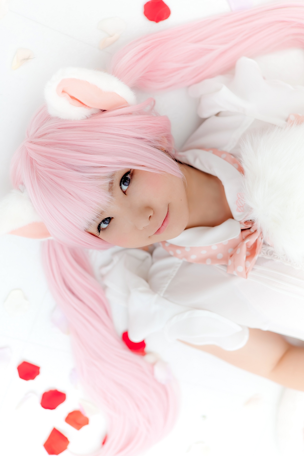 (Cosplay) [Enako] Enacat