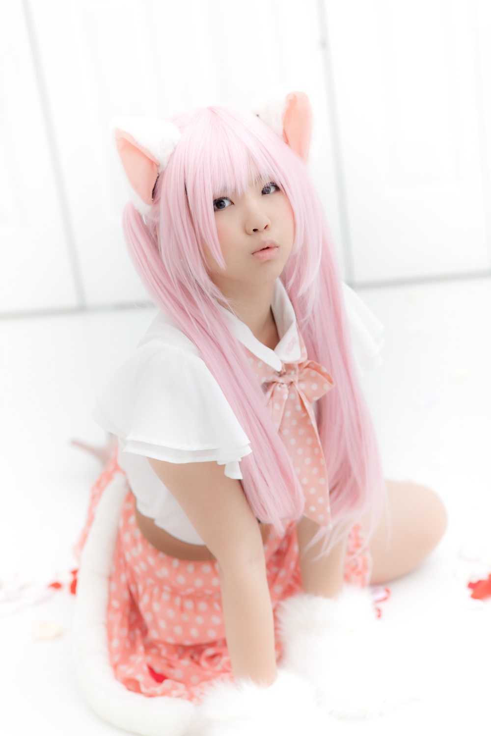 (Cosplay) [Enako] Enacat