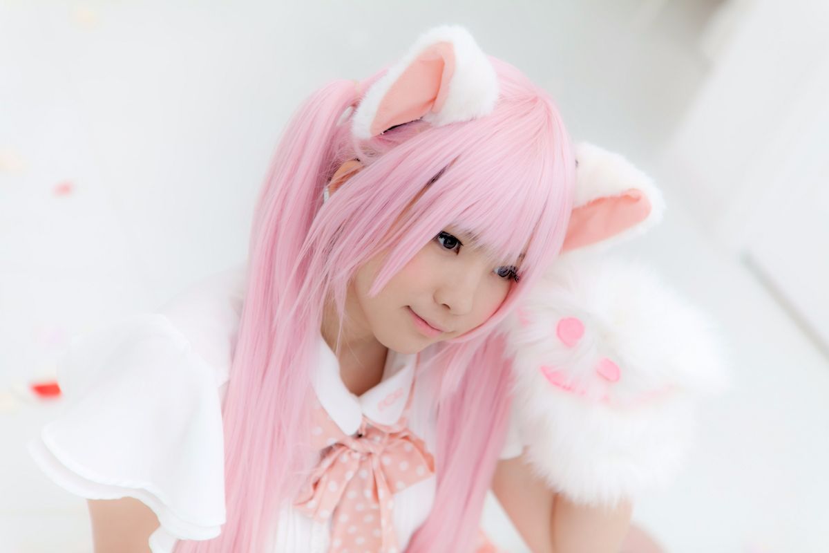 (Cosplay) [Enako] Enacat