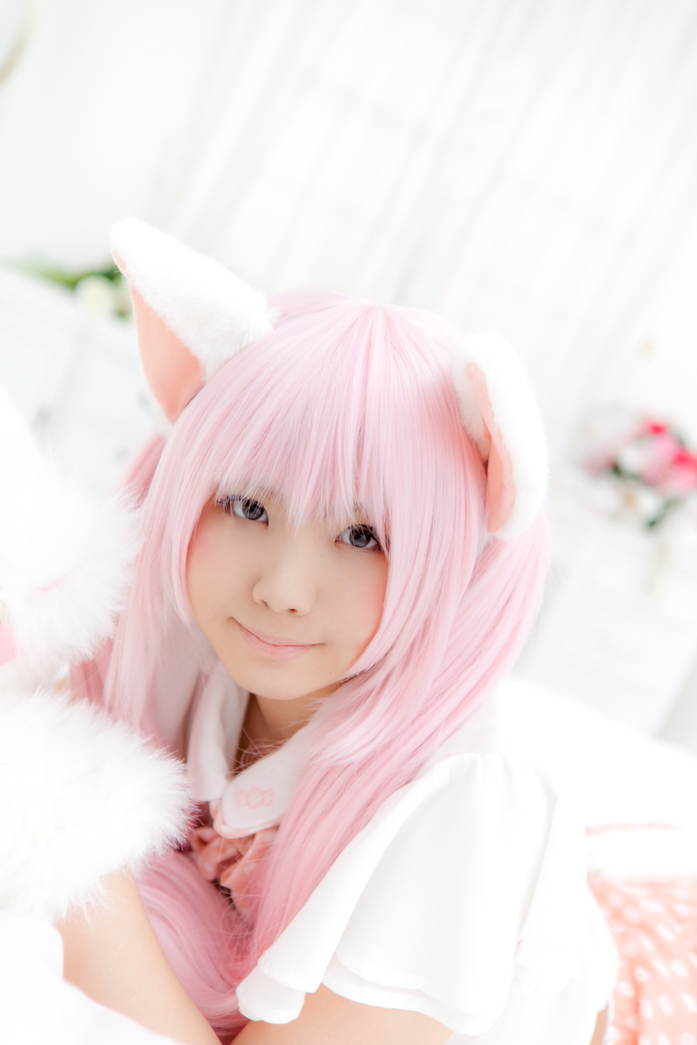 (Cosplay) [Enako] Enacat