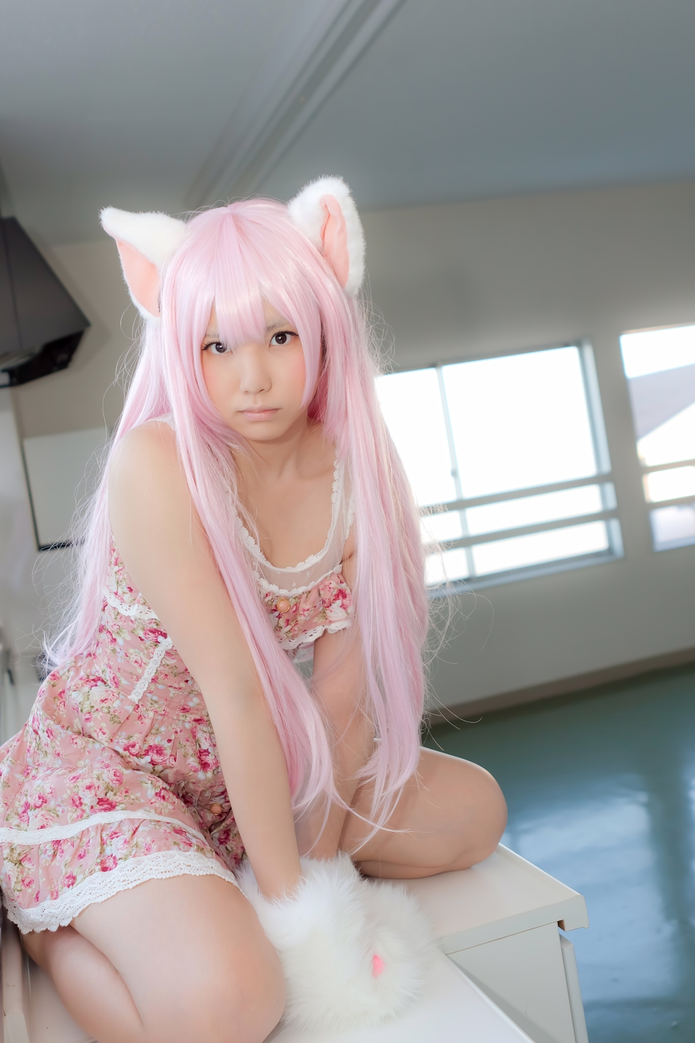 (Cosplay) [Enako] Enacat