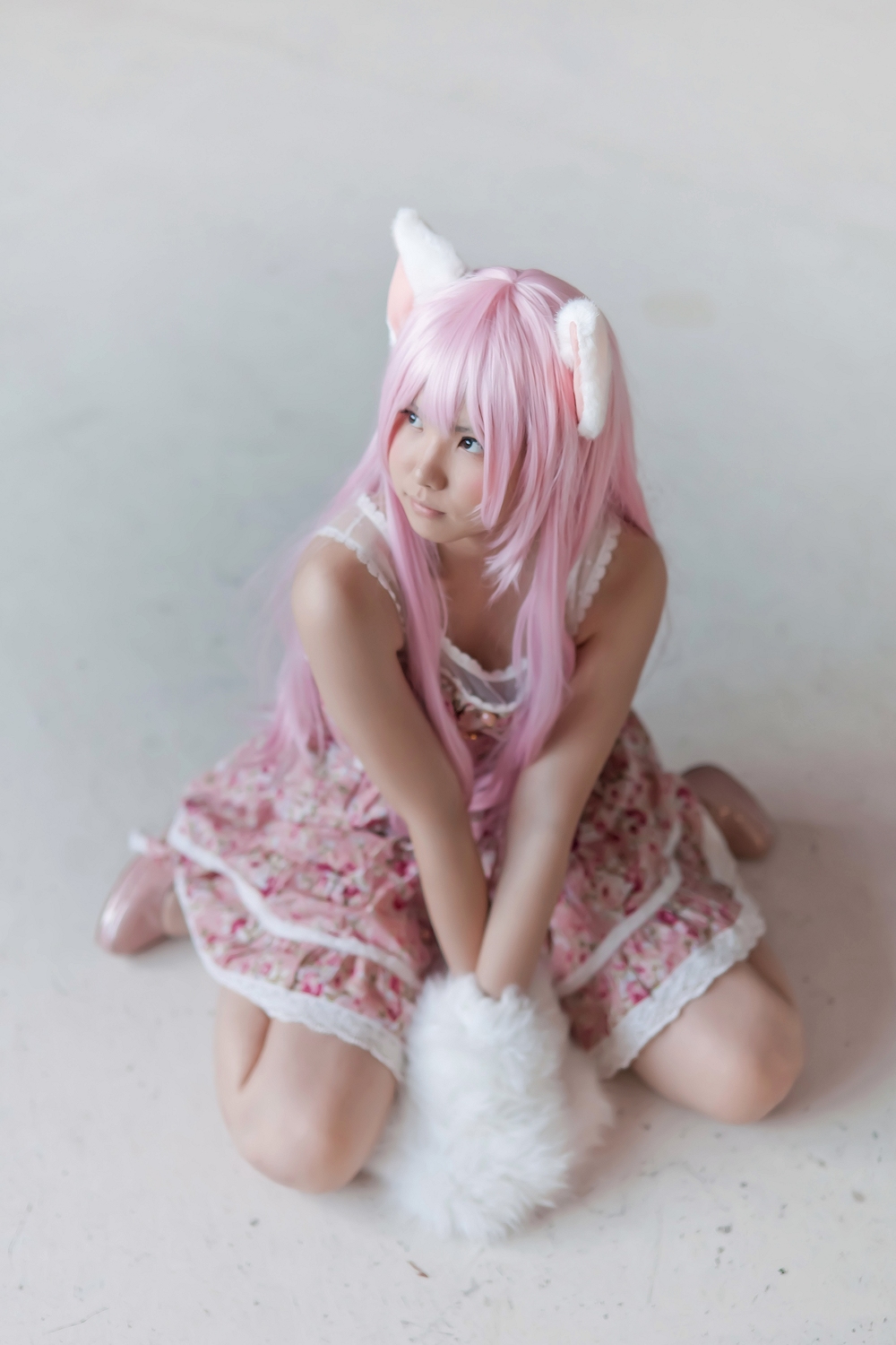 (Cosplay) [Enako] Enacat